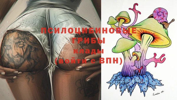 индика Ладушкин