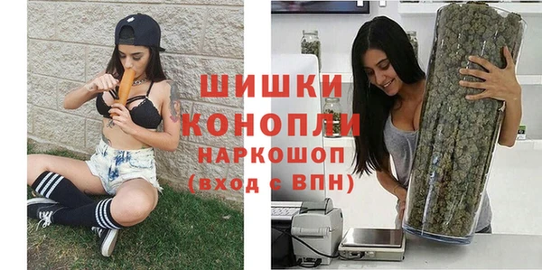 индика Ладушкин