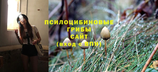 прущая мука Кукмор