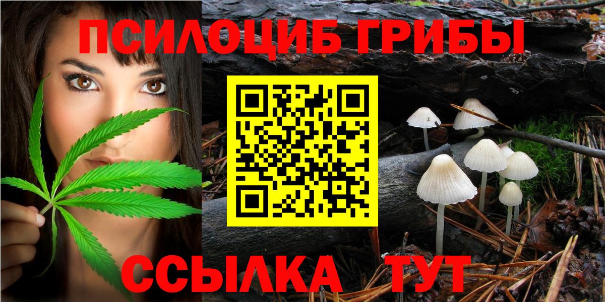 Галлюциногенные грибы мухоморы Астрахань