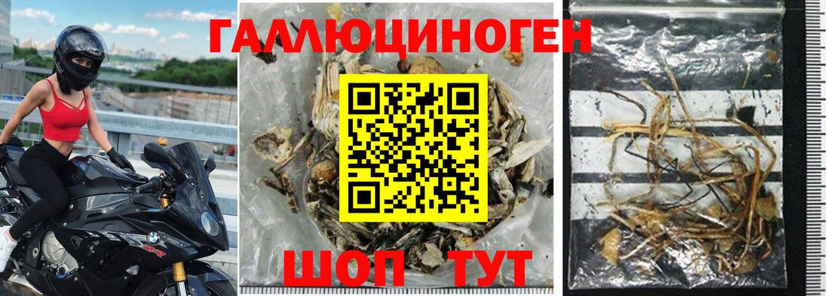 Астрахань  где найти наркотики  Вход с VPN  Галлюциногенные грибы MAGIC MUSHROOMS 
