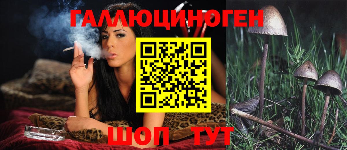 Галлюциногенные грибы GOLDEN TEACHER Астрахань